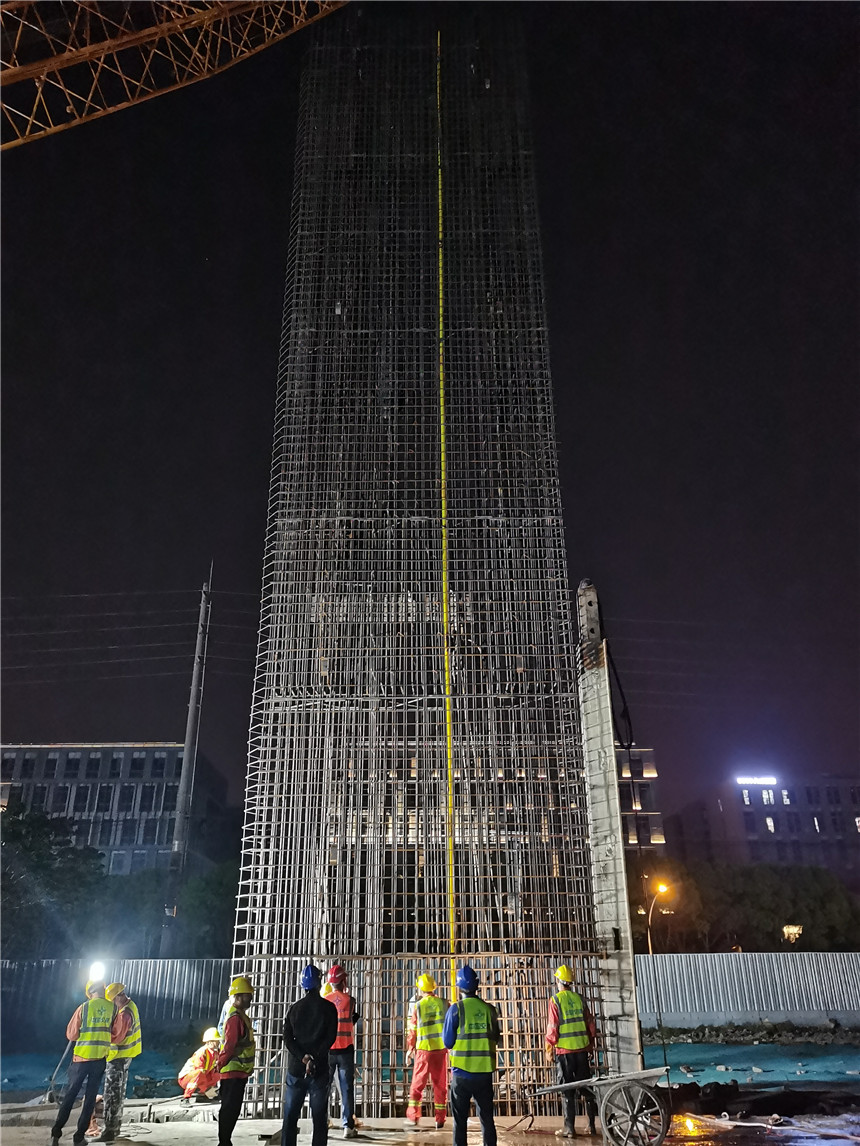 上海轨道交通10个项目全面推进建设(图2)