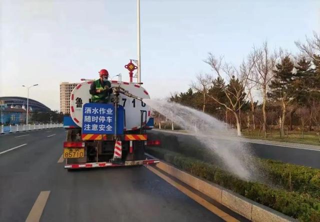 威海47项绿化工程陆续开工(图3)