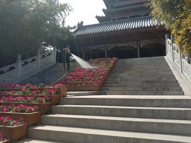 威海47项绿化工程陆续开工(图2)