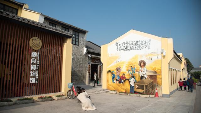 发挥特色优势佛山村居这样推进“百千万工程”(图4)