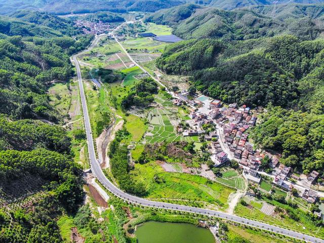发挥特色优势佛山村居这样推进“百千万工程”(图3)