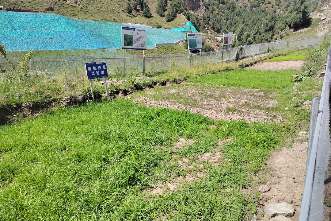 中交路建：多措并举保护高原生态打造同赛项目全线标杆样板工程(图10)