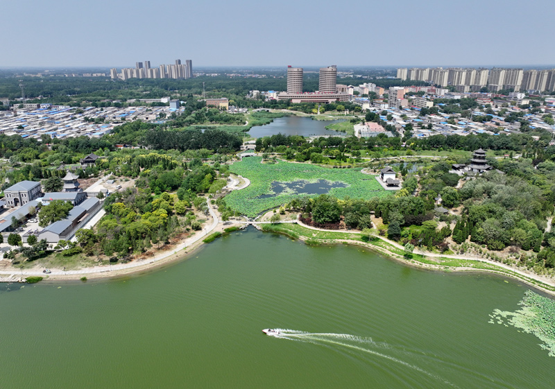 河北河间：城市游园建设让居民共享绿色(图6)