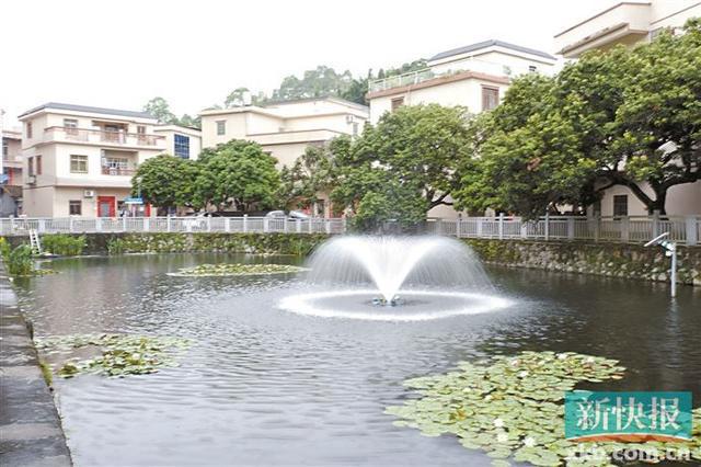 黄埔网红村精心治水建设美丽乡村(图2)