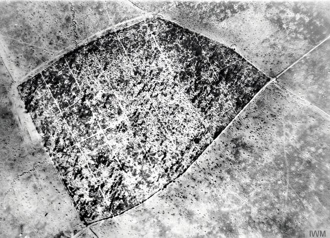 1348为库尔塞莱特献上死亡：1916年9月英国远征军为步坦协同攻势制定的战前计划(图3)
