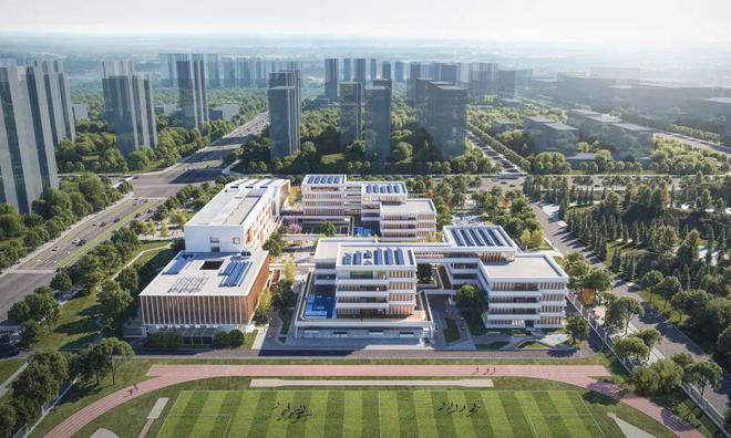 新站教育核爆！南小+42中+和平小学三箭齐发！(图2)
