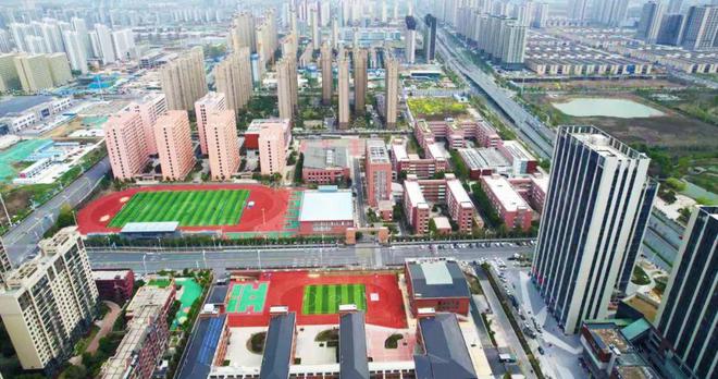 新站教育核爆！南小+42中+和平小学三箭齐发！(图5)
