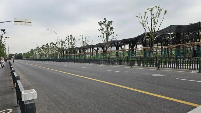 G1503嘉安公路匝道口以东将扩容！(图10)