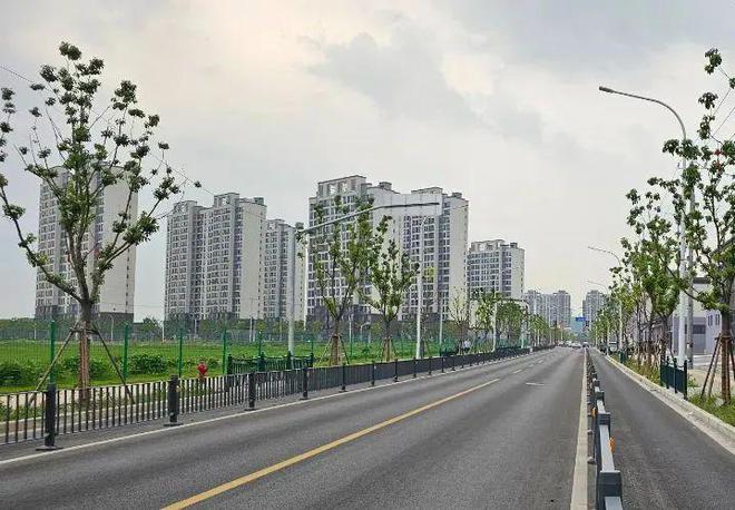 G1503嘉安公路匝道口以东将扩容！(图12)