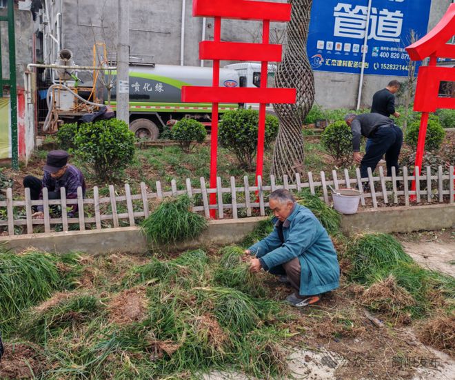 三合镇：实施镇区绿化提升工程匠心绘就生态宜居新图景(图2)