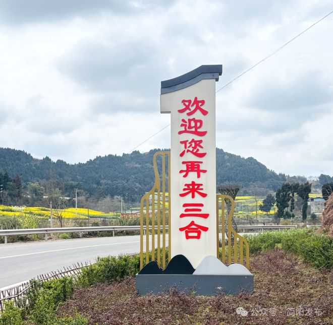 三合镇：实施镇区绿化提升工程匠心绘就生态宜居新图景(图3)