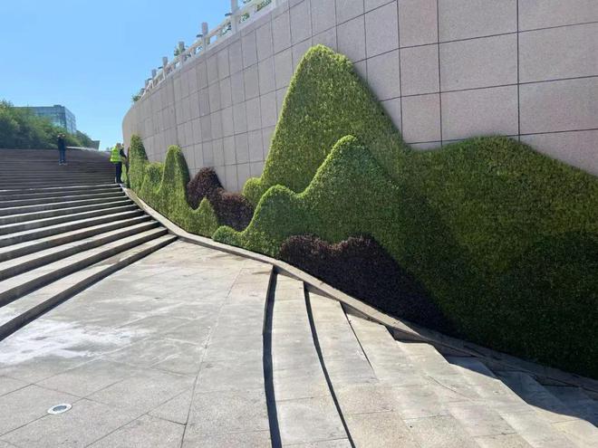 石河子立体绿化工程全面启动城市空间绽放生态画卷(图4)
