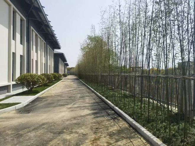 仪征完成南大扬州化学化工研究院绿化提升工程(图3)