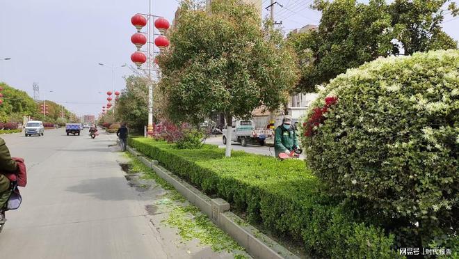 罗山园林：春季绿化养护“四步走”为城市梳妆换新颜(图2)