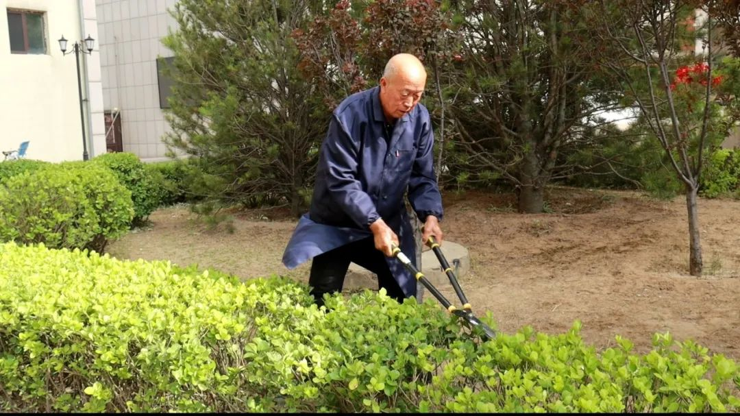 物业无小事昔阳县一企业匠心打造舒适宜居家园(图1)