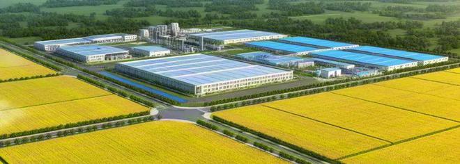 水稻种植项目可行性研究报告(图2)