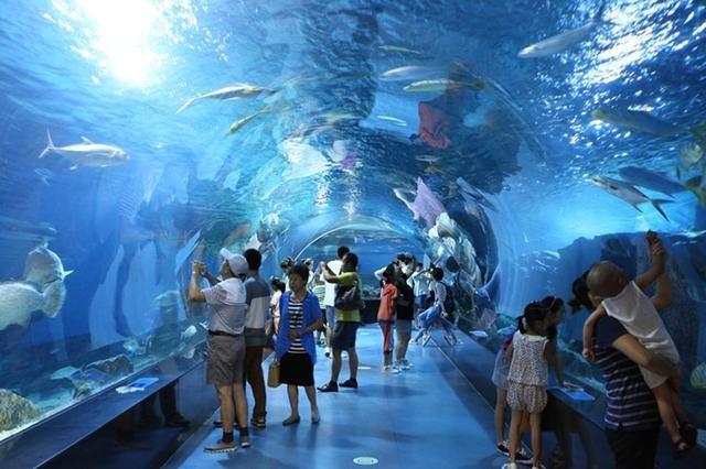 即将建设的世纪大工程烟大海底隧道必将引领东北走向腾飞(图4)