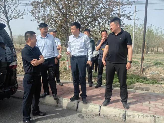 石河子市启动东外环路绿化升级工程打造城市生态景观长廊(图1)