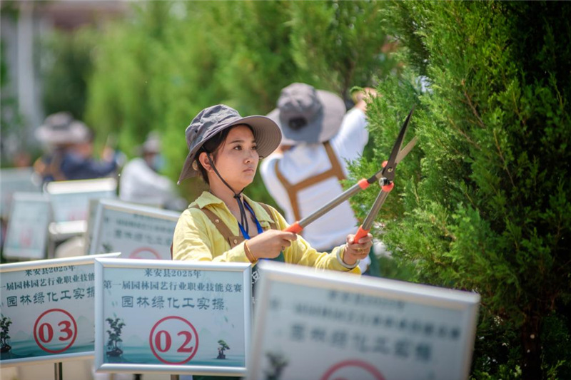 来安县：匠心筑绿韵技能展风采(图2)