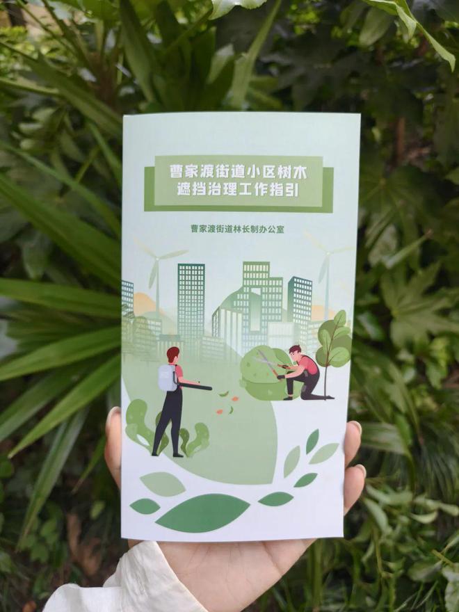 房间采光好多了！全市首个由街道层面发布的“居住小区树木遮挡治理工作指引”在静安亮相(图1)