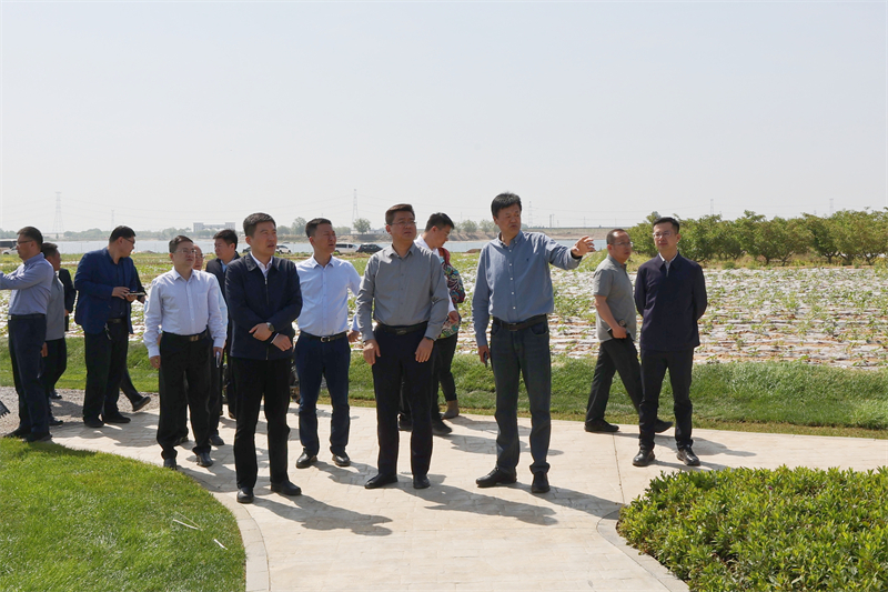 程亮来龙阳镇督导乡村振兴“两区”建设路域环境及重点点位整治工作(图1)