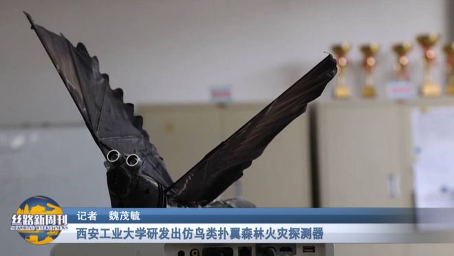 《丝路新周刊》节目预告｜陕西千亿投资赋能高质量发展开放合作与民生工程齐头并进(图8)