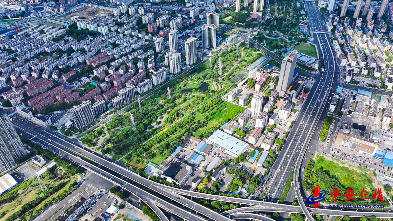 合肥市包河区：“更新”公园打造高品质绿色空间(图2)