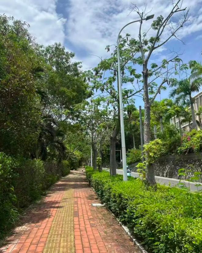 女游客在三亚被蛇咬伤身亡！专家解疑城市里为何有毒蛇上海唯一毒蛇是它(图2)